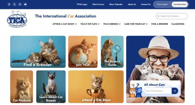 TICA website screenshot